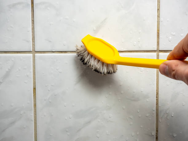 Best Best Mold Removal Companies  in Elmendorf, TX