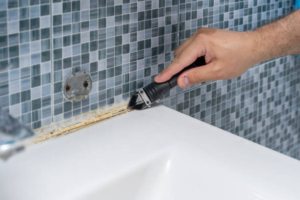 Best Black Mold Removal  in Elmendorf, TX